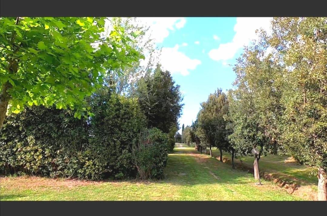 Bnatural Glamping Naturista/Nudista Baratti Εξωτερικό φωτογραφία