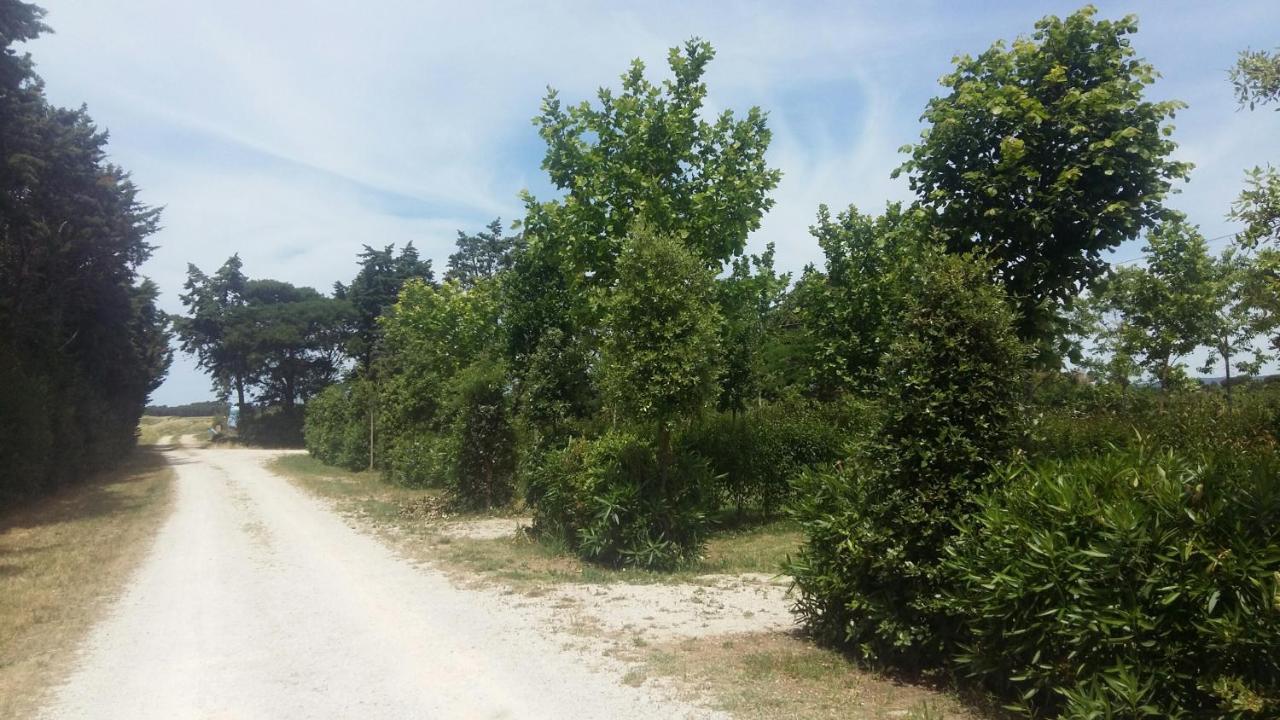 Bnatural Glamping Naturista/Nudista Baratti Εξωτερικό φωτογραφία