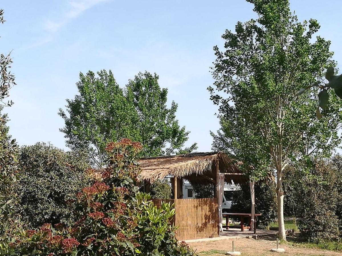 Bnatural Glamping Naturista/Nudista Baratti Εξωτερικό φωτογραφία