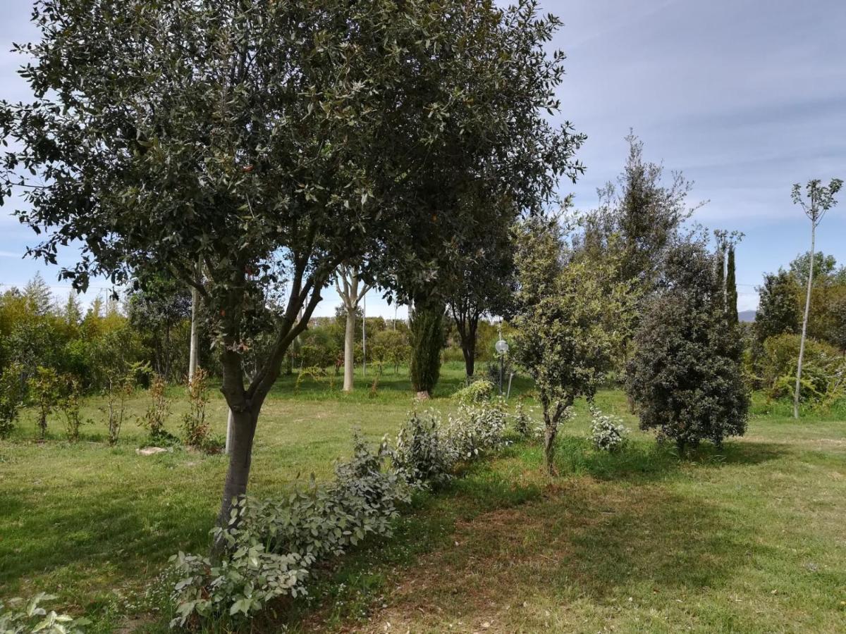 Bnatural Glamping Naturista/Nudista Baratti Εξωτερικό φωτογραφία