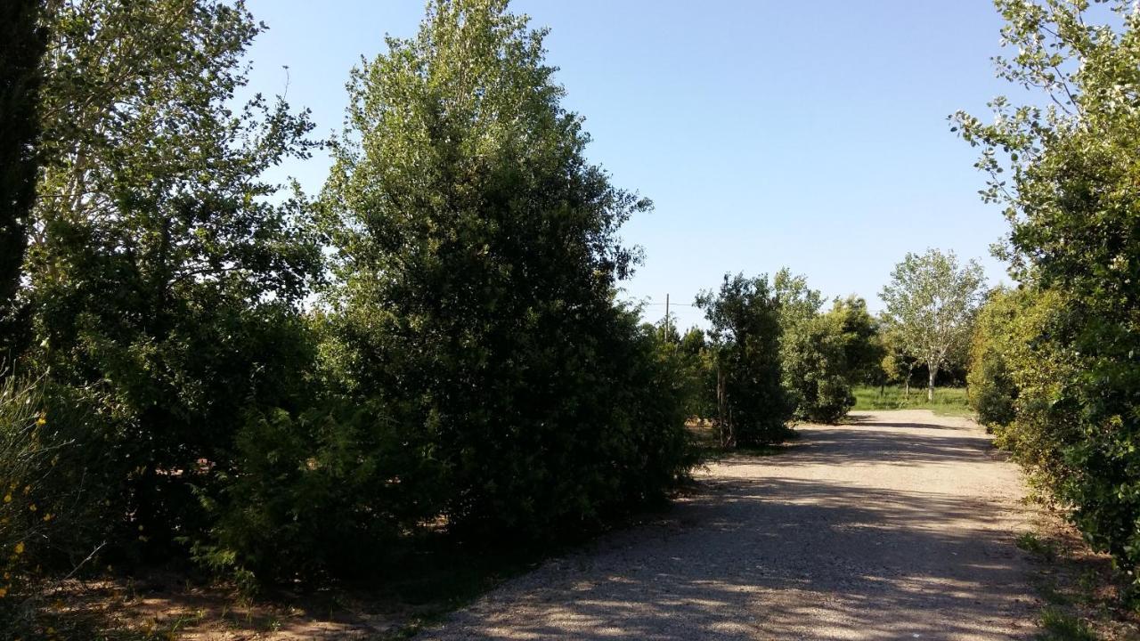 Bnatural Glamping Naturista/Nudista Baratti Εξωτερικό φωτογραφία