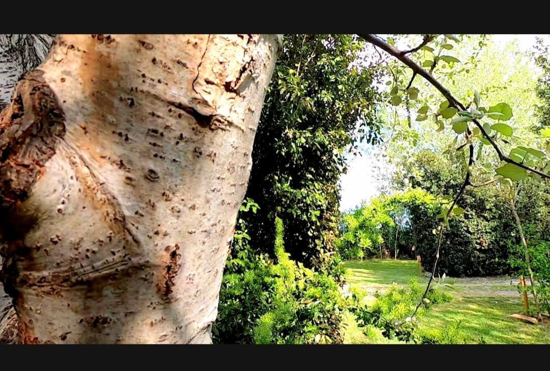 Bnatural Glamping Naturista/Nudista Baratti Εξωτερικό φωτογραφία