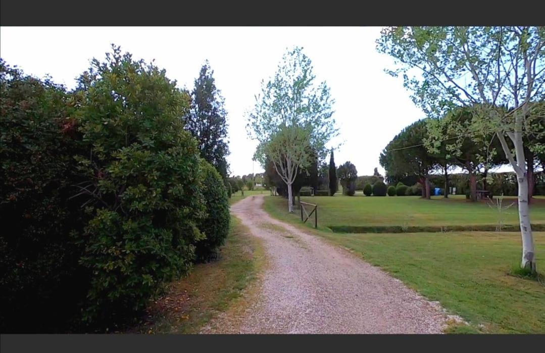 Bnatural Glamping Naturista/Nudista Baratti Εξωτερικό φωτογραφία