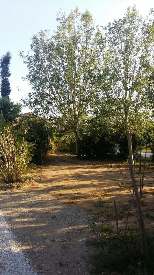 Bnatural Glamping Naturista/Nudista Baratti Εξωτερικό φωτογραφία