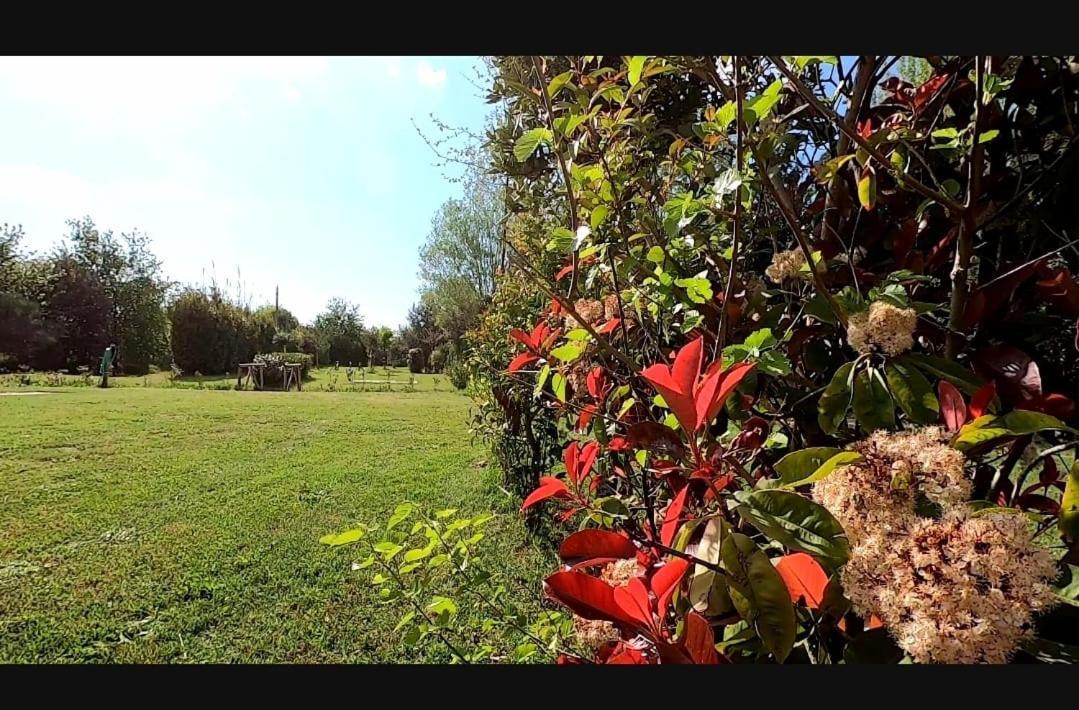 Bnatural Glamping Naturista/Nudista Baratti Εξωτερικό φωτογραφία